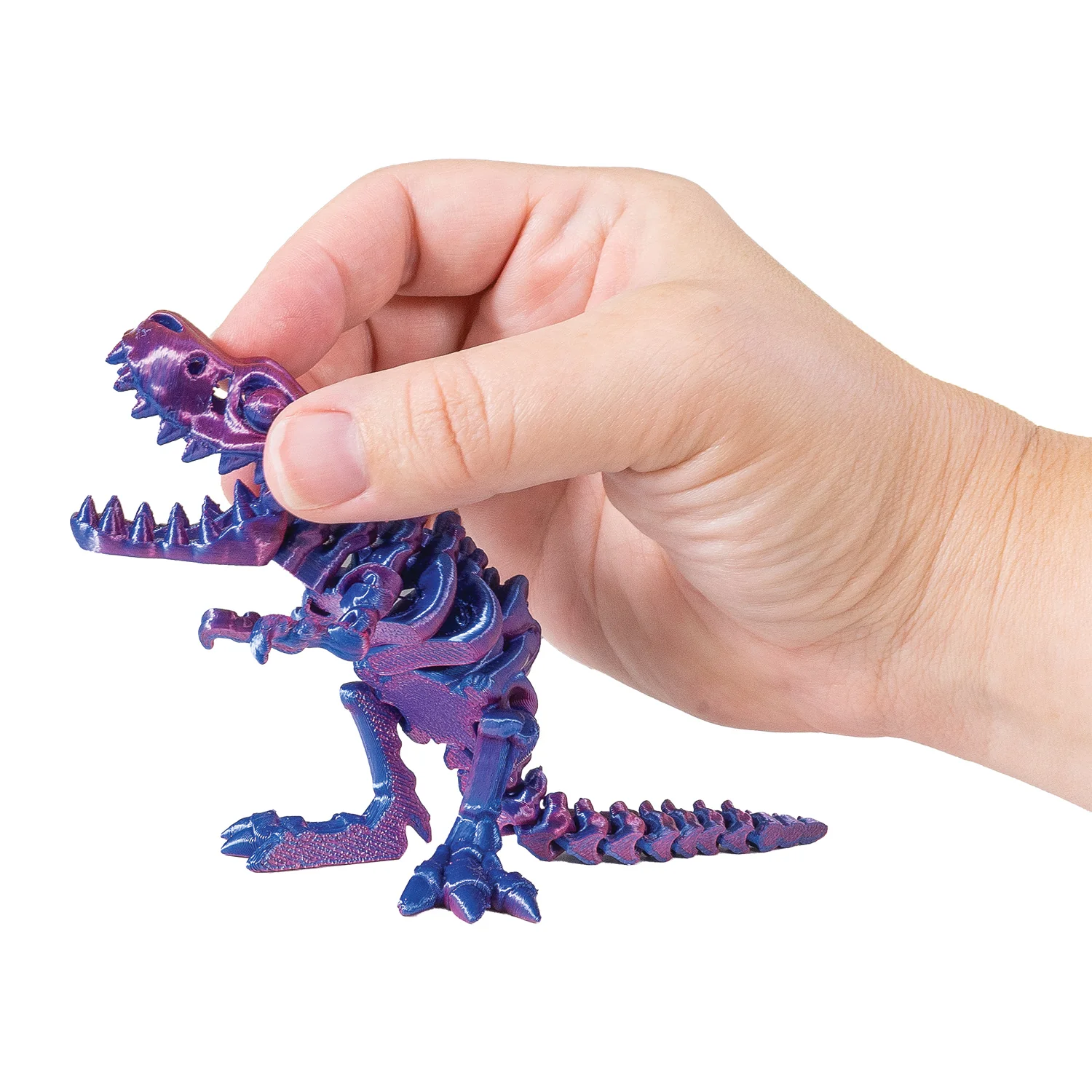 3D Printed Dinosaur Fidget Toys - 12 per box - Image 11