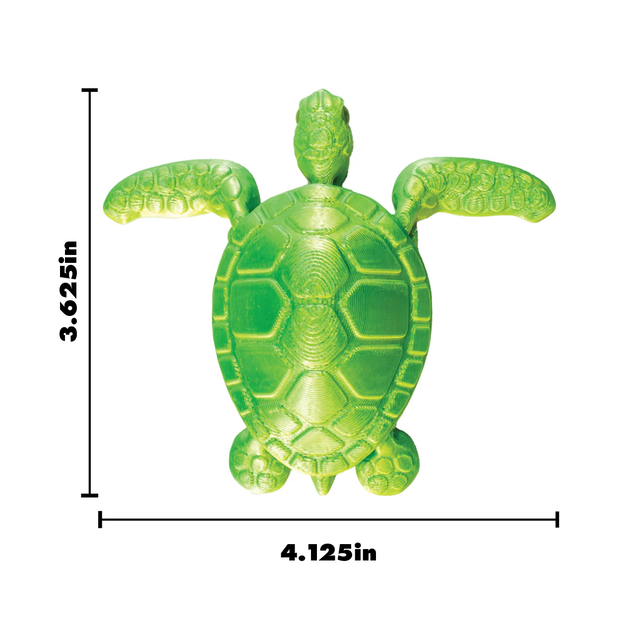 3D Printed Sea Turtle Fidget Toys - 12 per box - Image 5