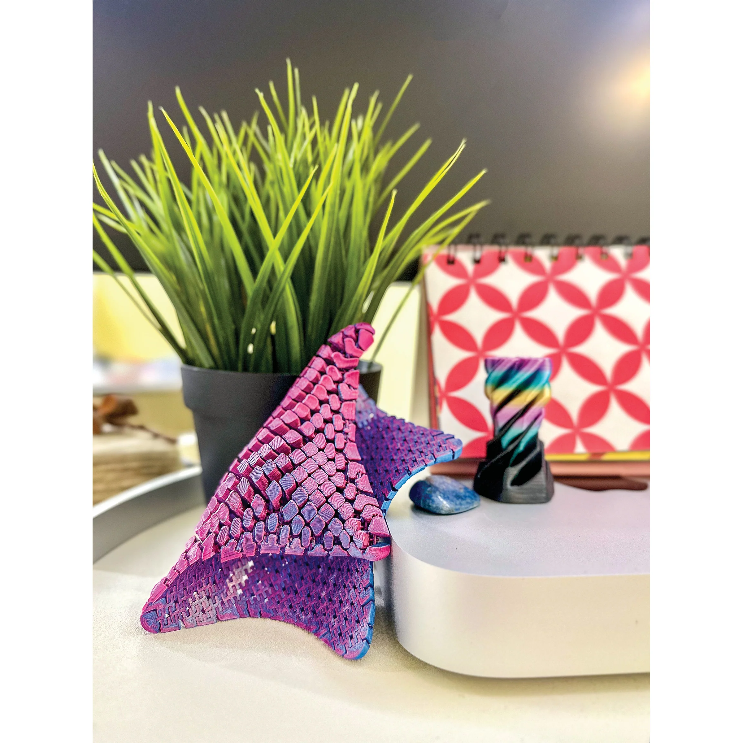 3D Printed Starfish Fidget Toy - Image 10
