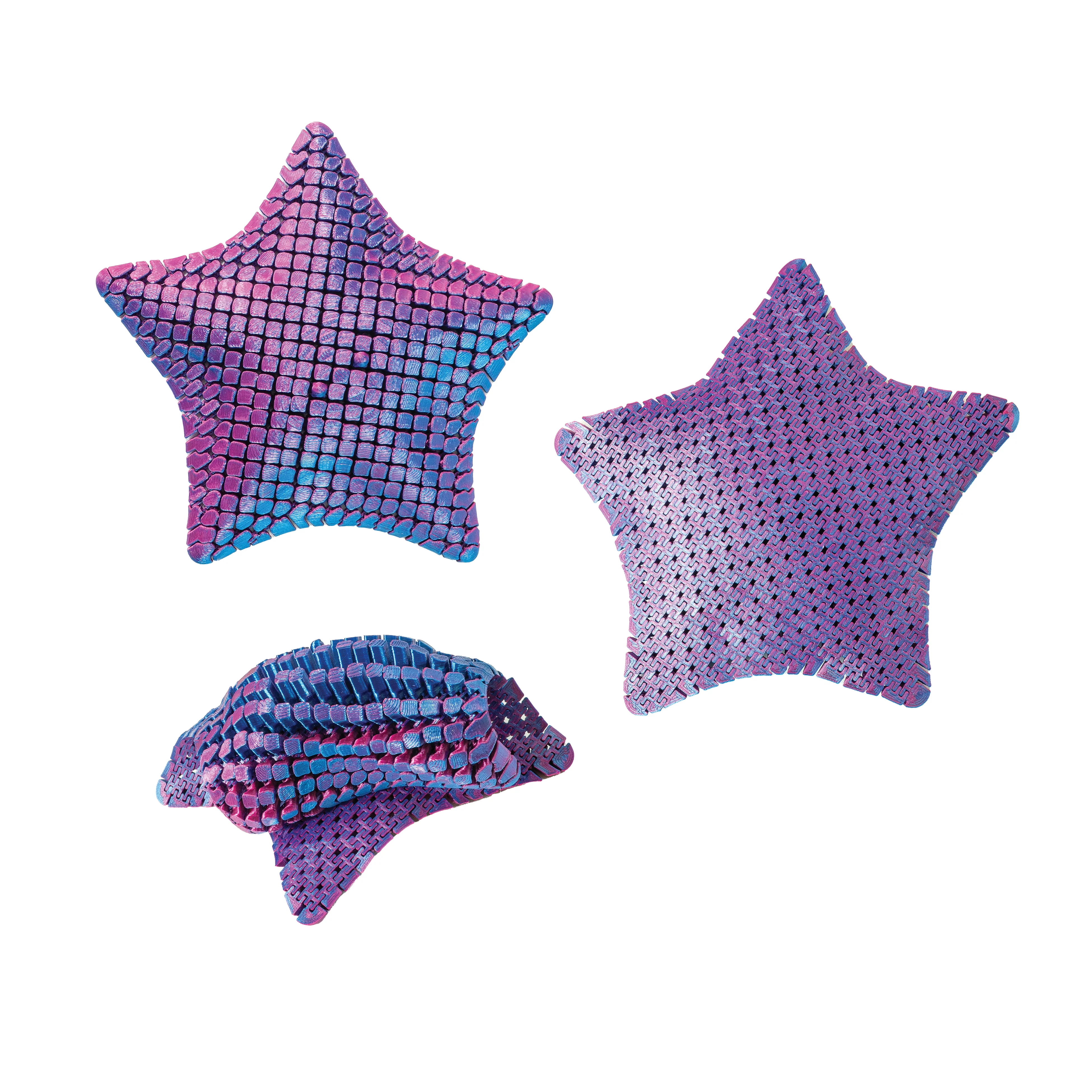 3D Printed Starfish Fidget Toy - Image 5
