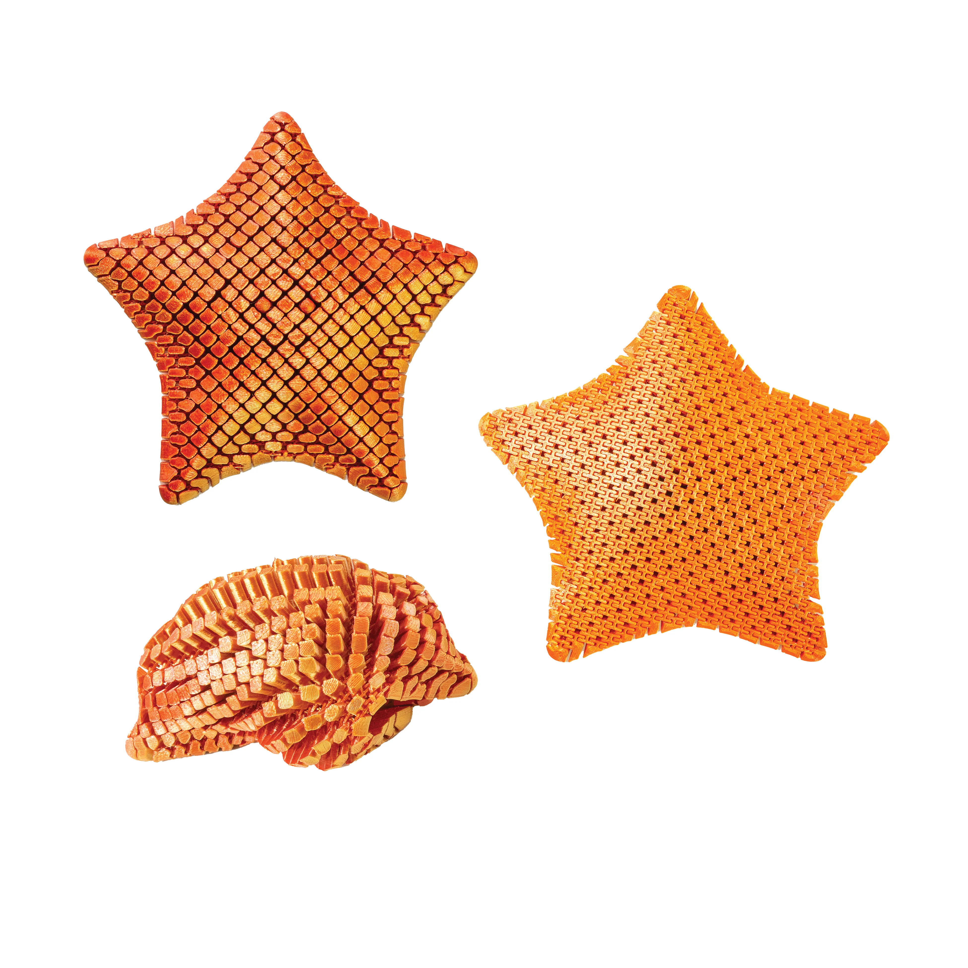 3D Printed Starfish Fidget Toy - Image 7
